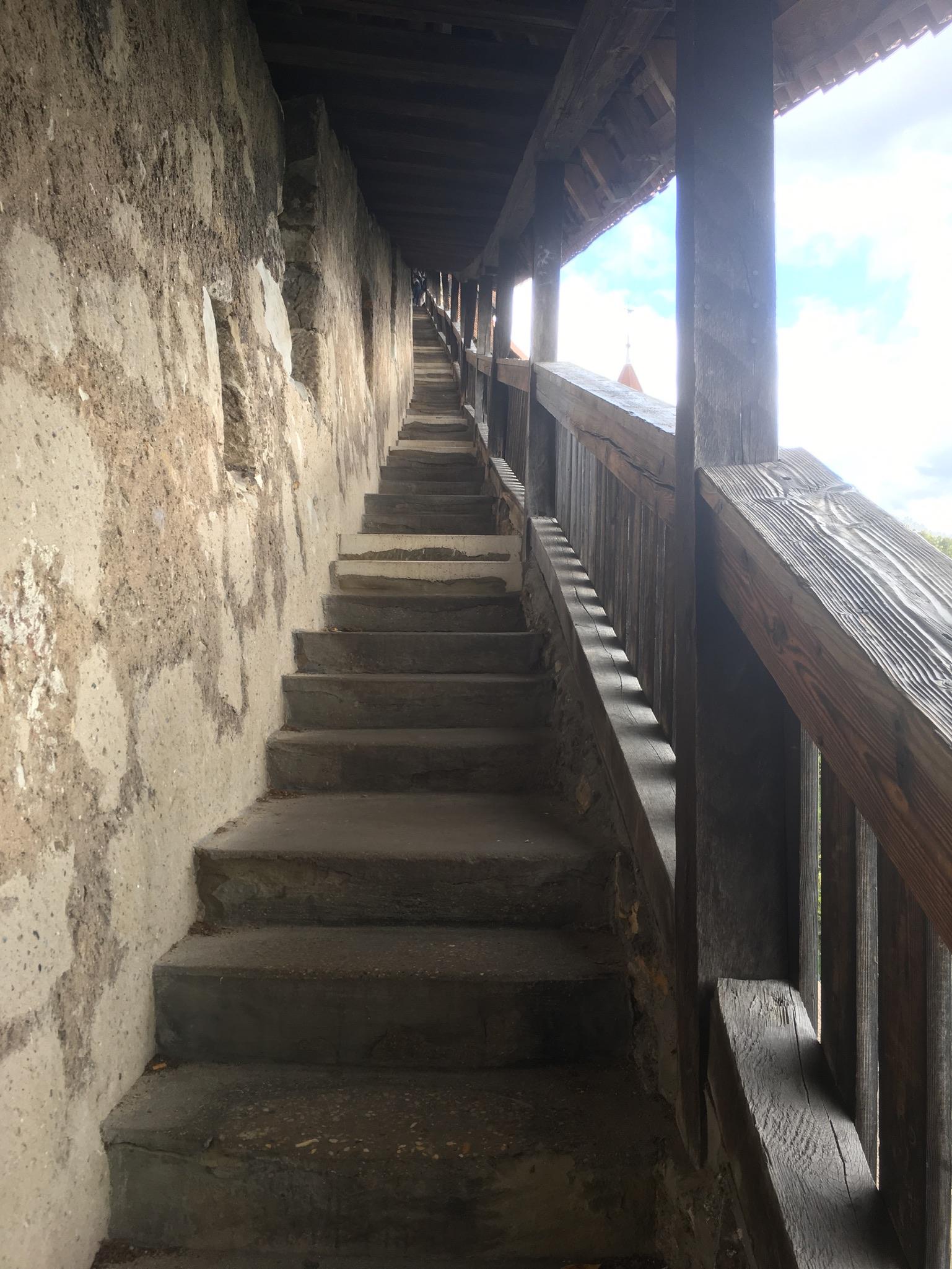 313 steps to the top!