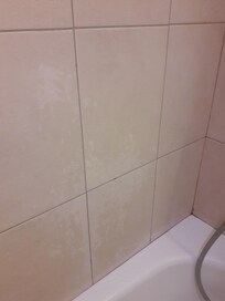 Les carreaux de la baignoire incrusté de cheveux et résidus...