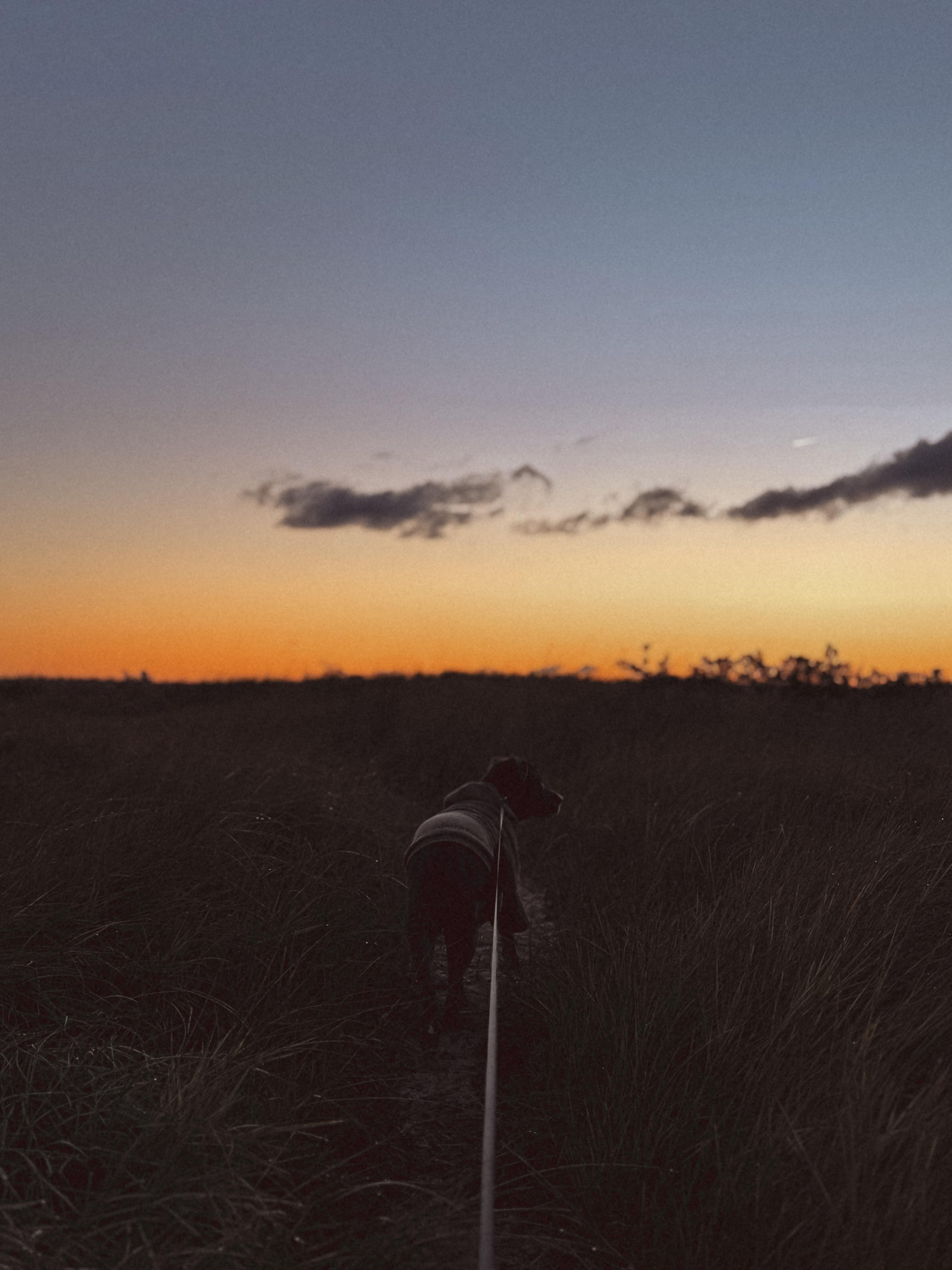 Sunrise on the beach 