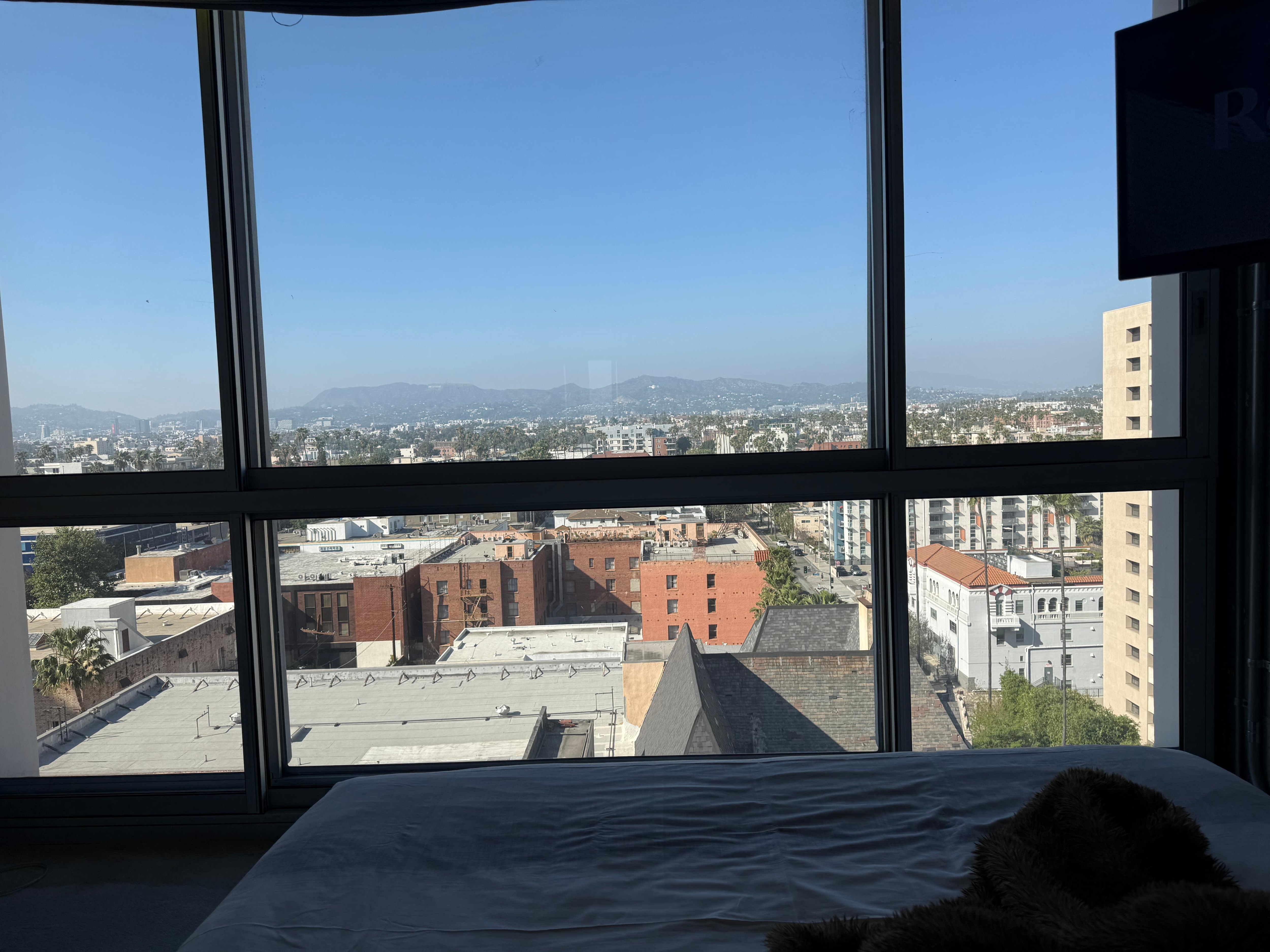 Room view 