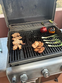 Amazing grill right off the dining room.