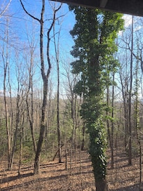 Nestled in the woods