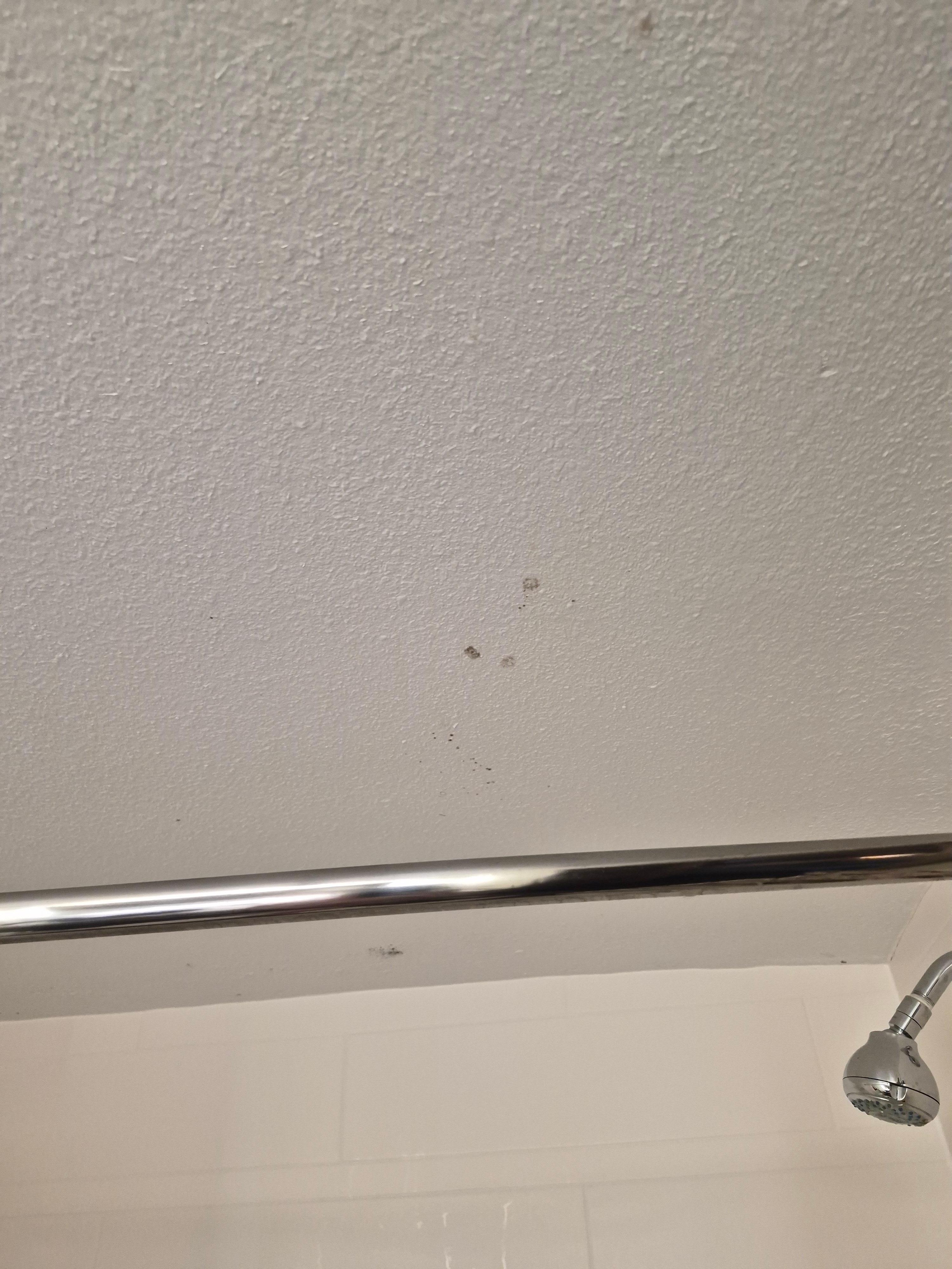 Mold on ceiling 