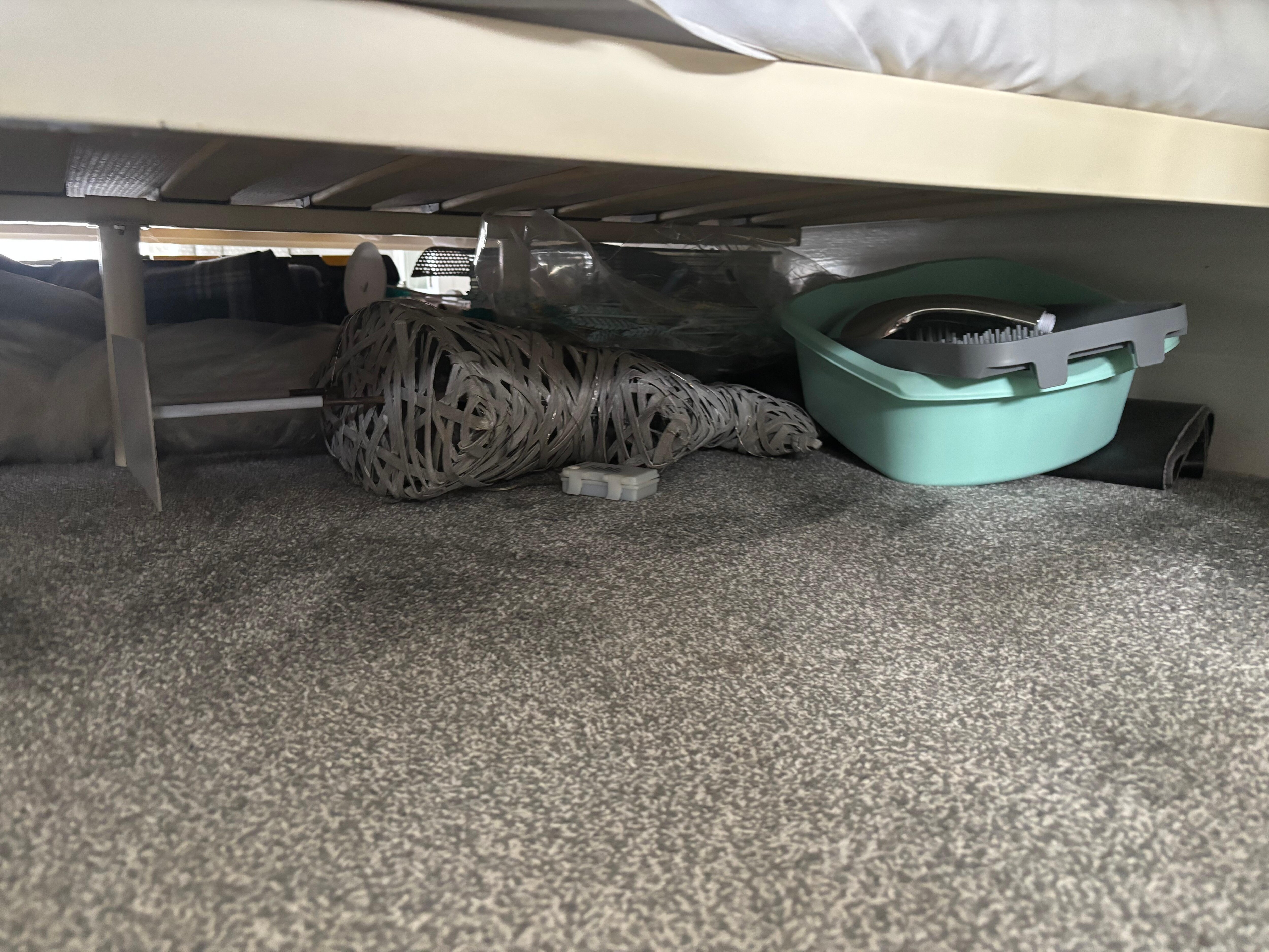 Owners belonging stored under beds