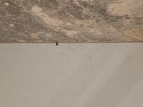 Igualmente las paredes de la habitación.