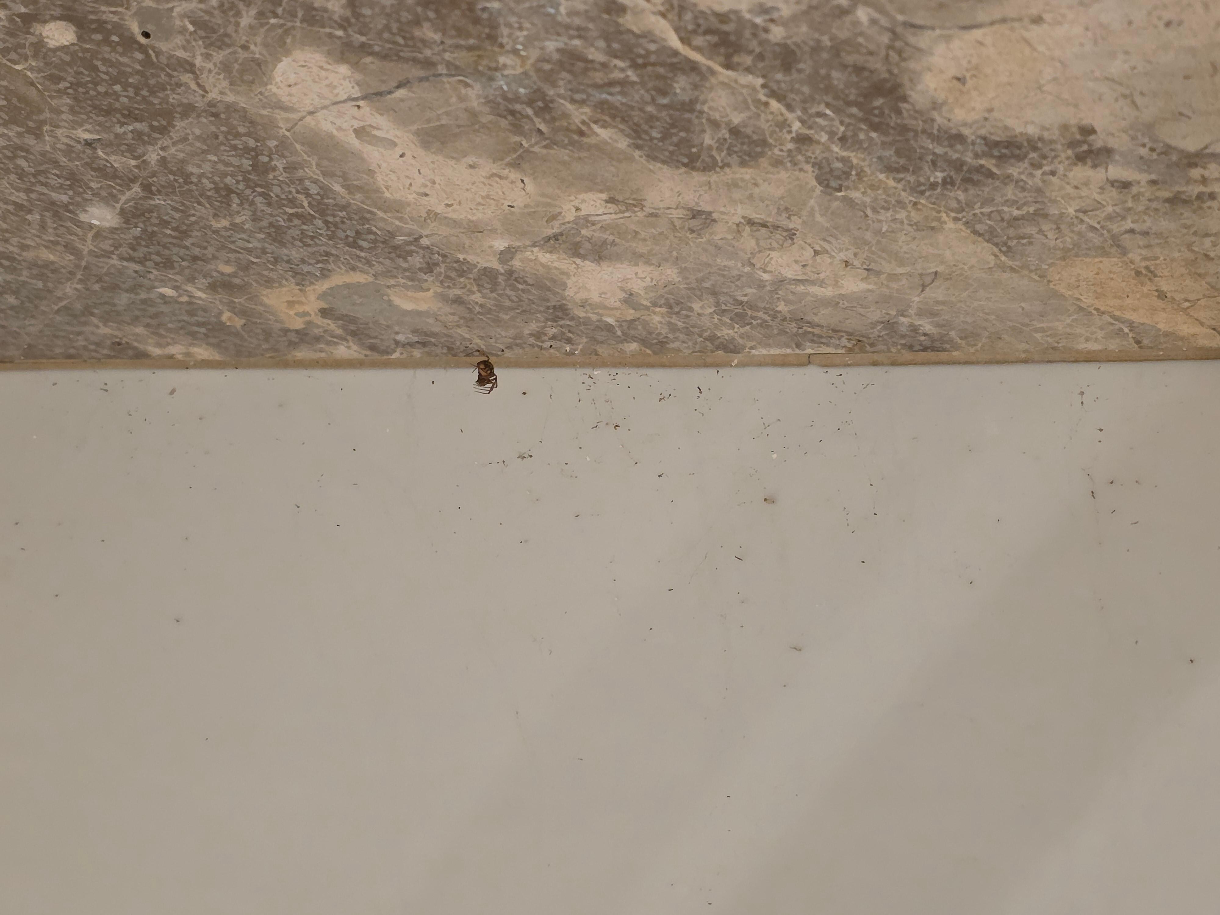 Igualmente las paredes de la habitación. 