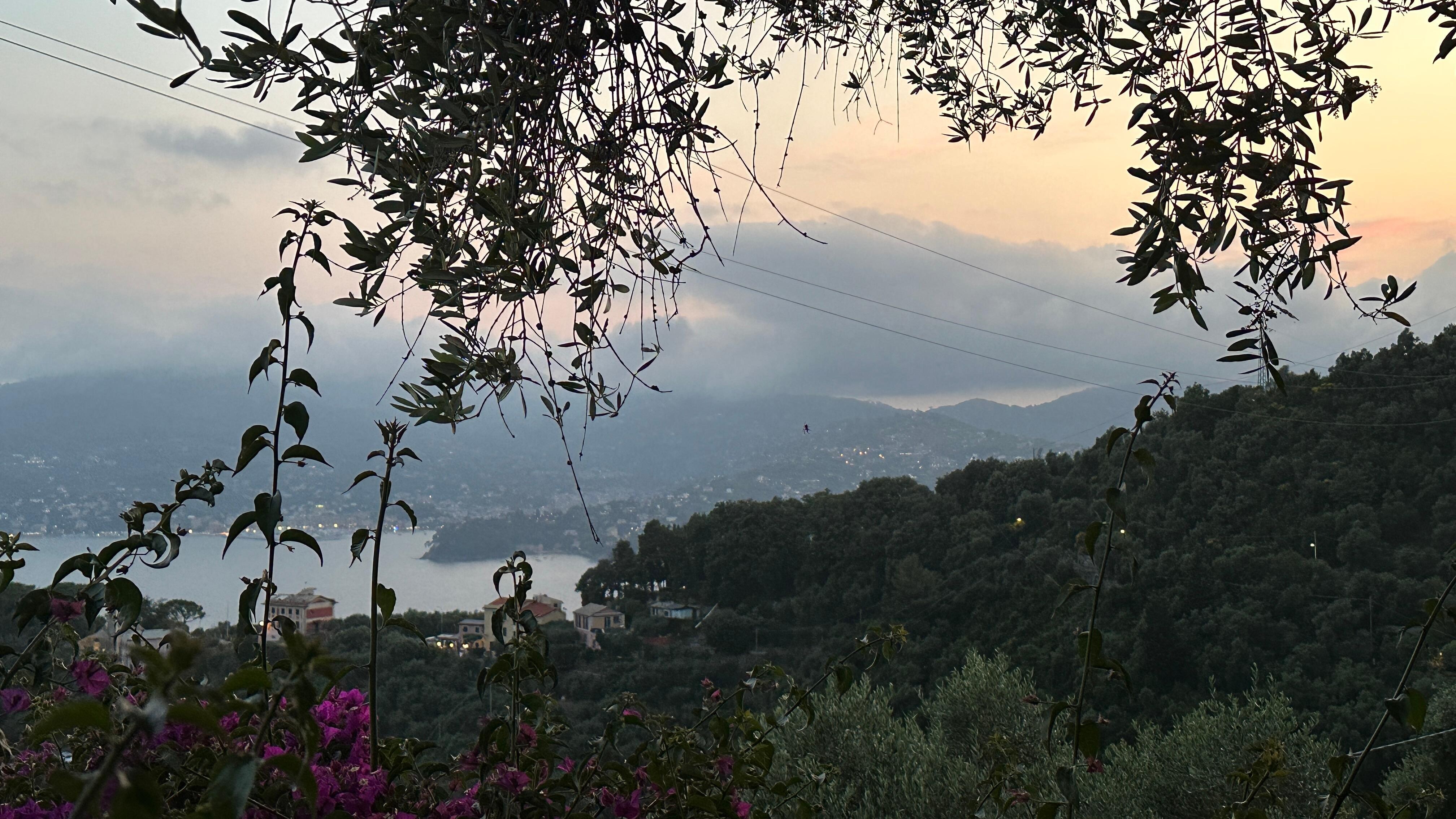 Terrassenblick