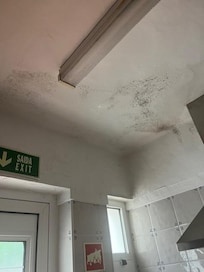 Kitchen ceiling - moldy