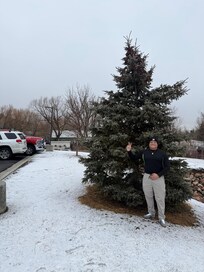 Sus árboles del hotel