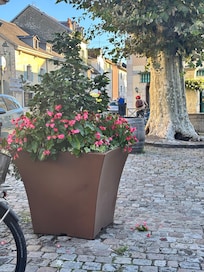 In France next to the bakery
