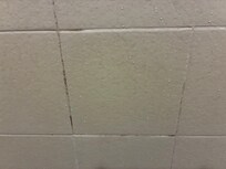Mold in crevices.