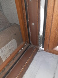 Insectes moustiques cafards