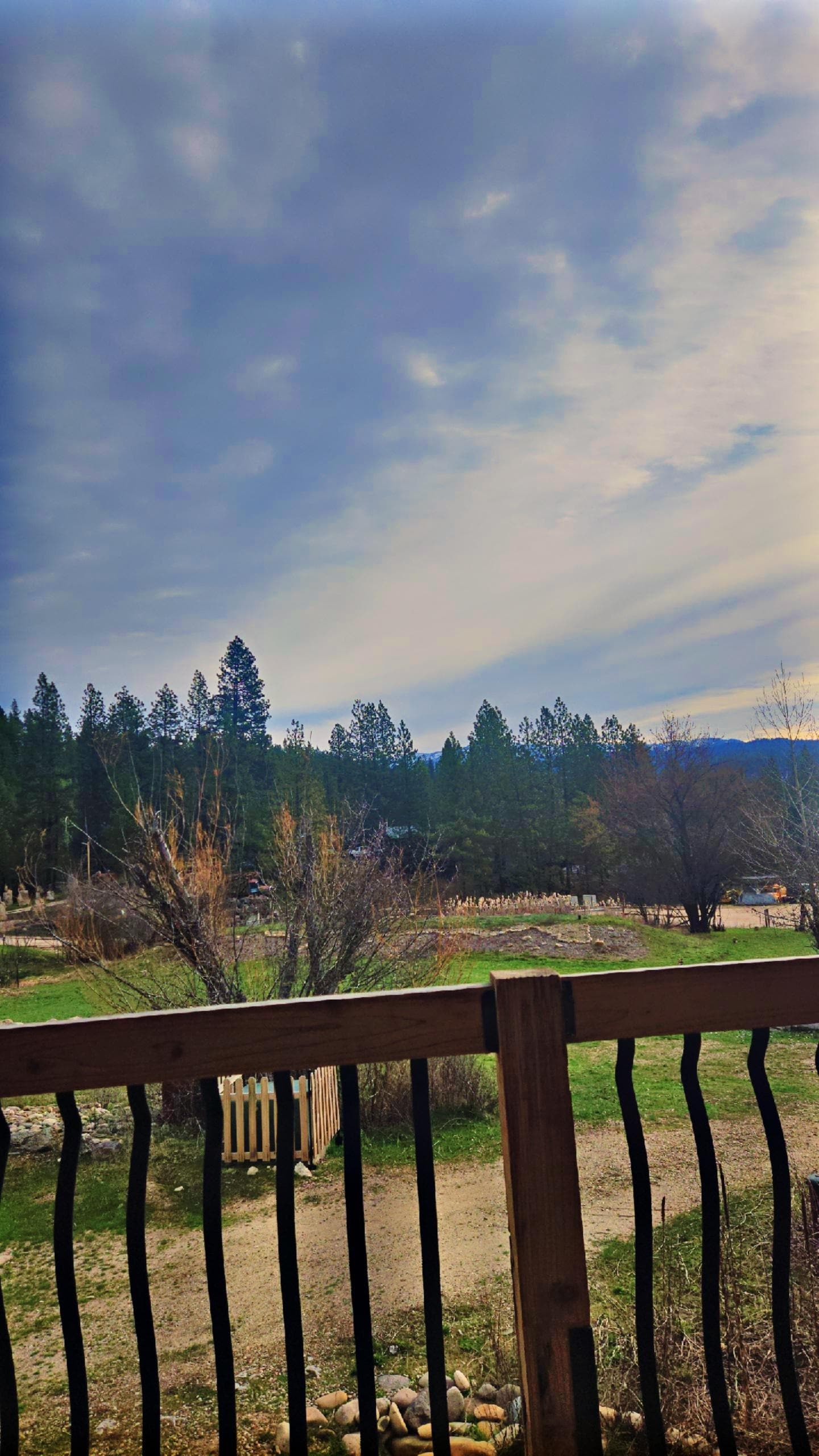 View from the deck while drinking my morning coffee