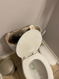 This toilet never worked. Broken from the insidw