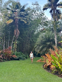 Backyard was amazing!