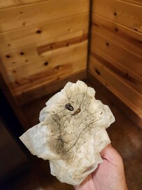 Wiping the floor when we arrived and realized we needed more than paper towels