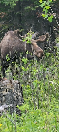 Rocky Mountain National Park