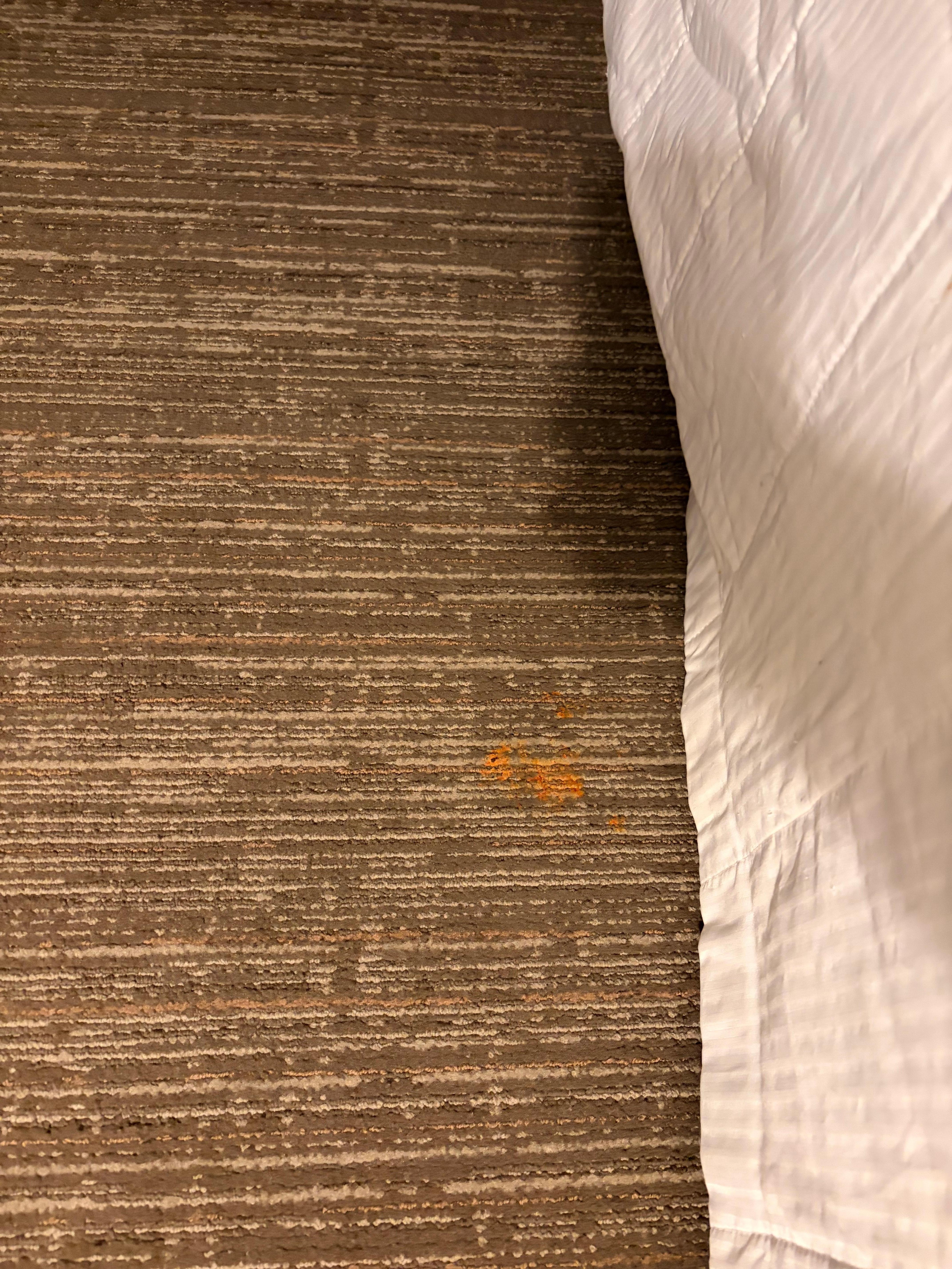 Carpet dirty and stained 