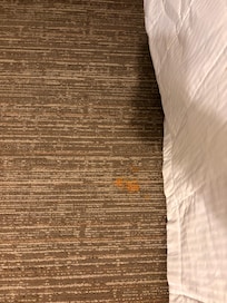 Carpet dirty and stained