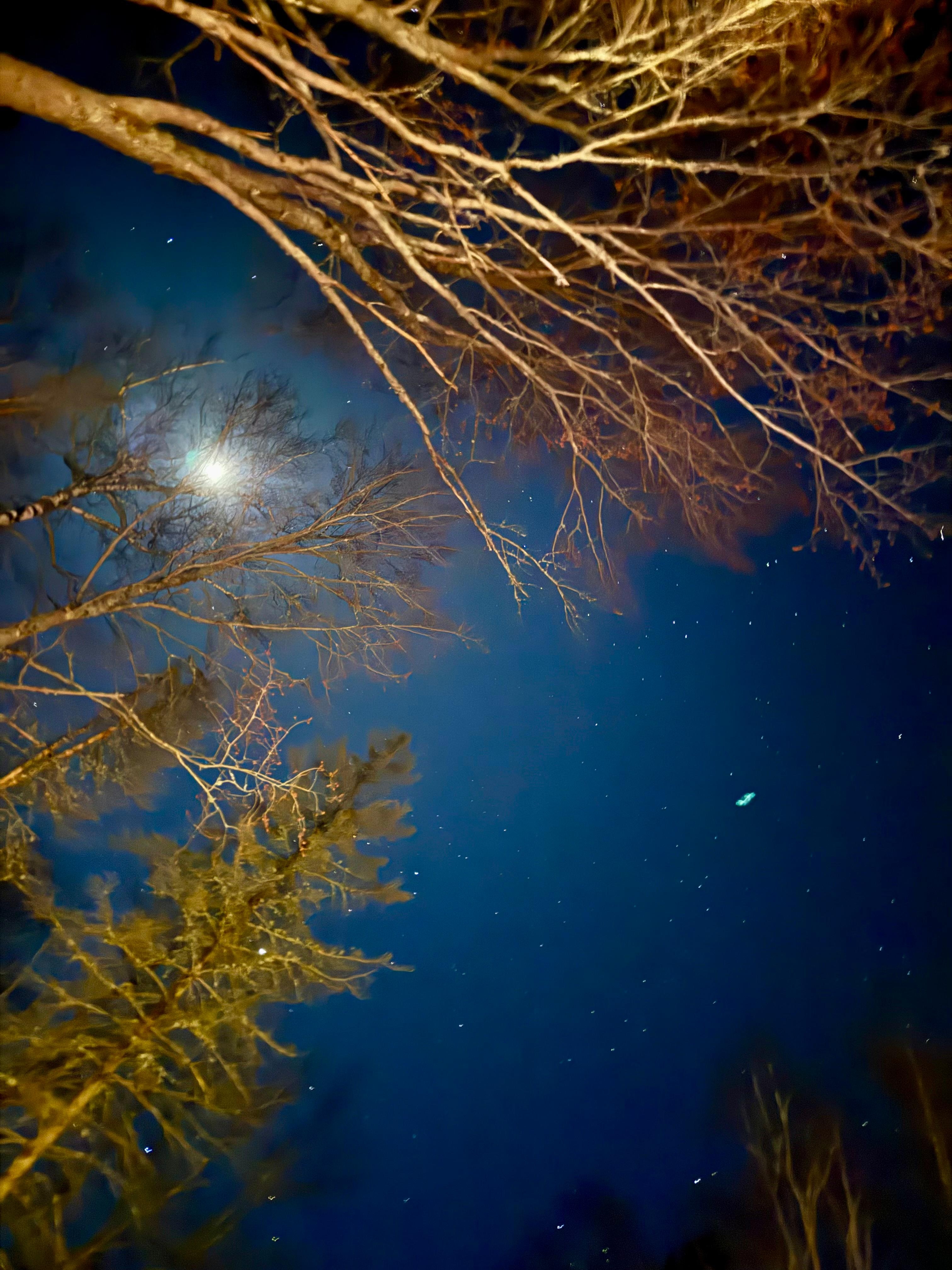 Amazing view of the sky from the hot tub and the sounds of nature was so peaceful 