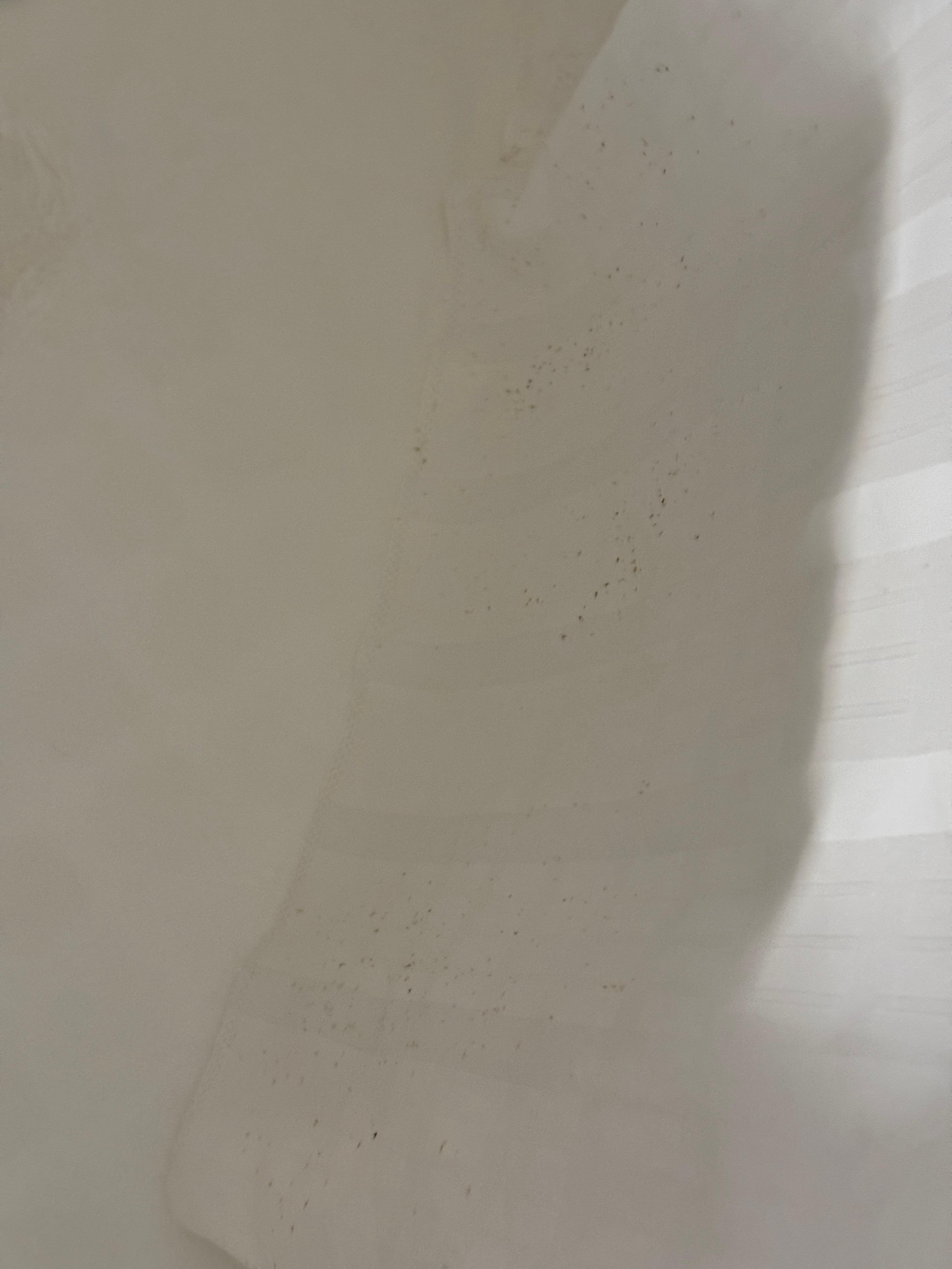 Mold on bottom of shower curtain