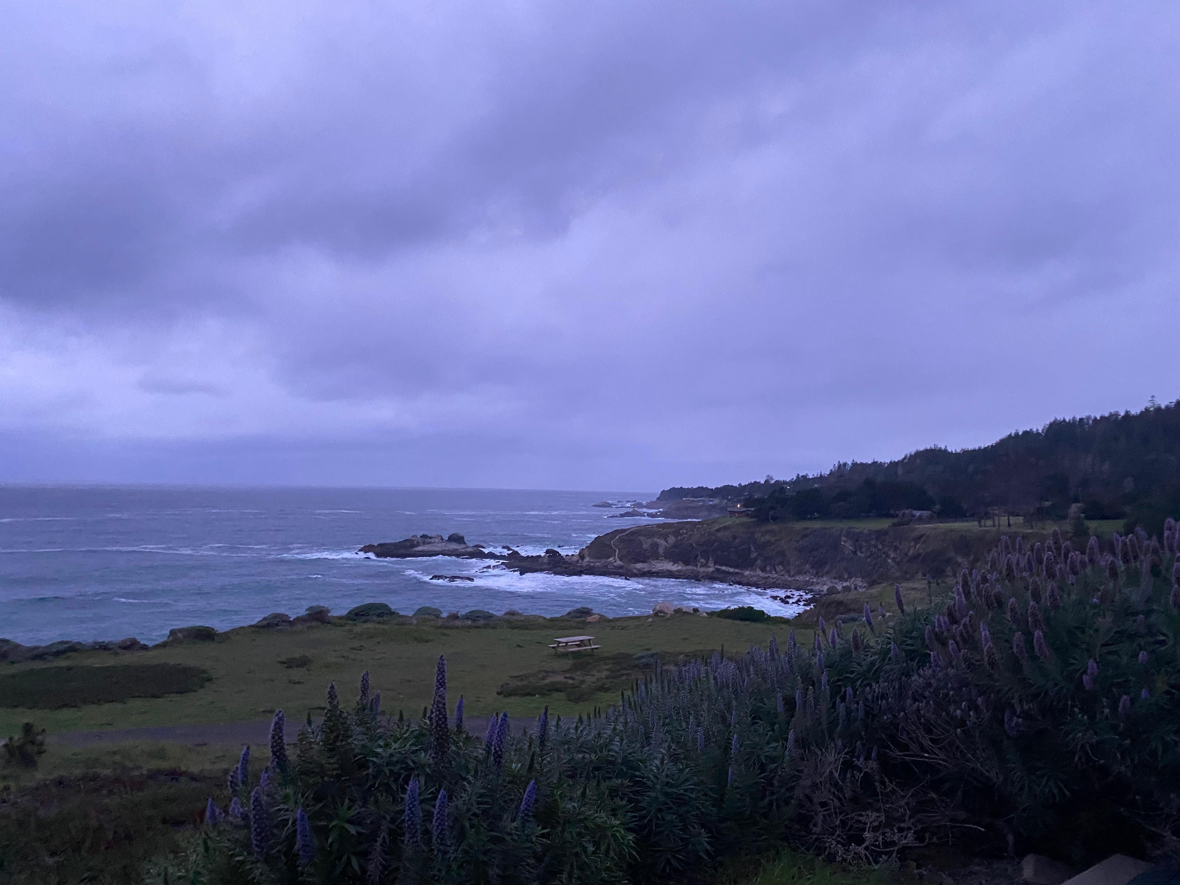 Ocean view balcony room