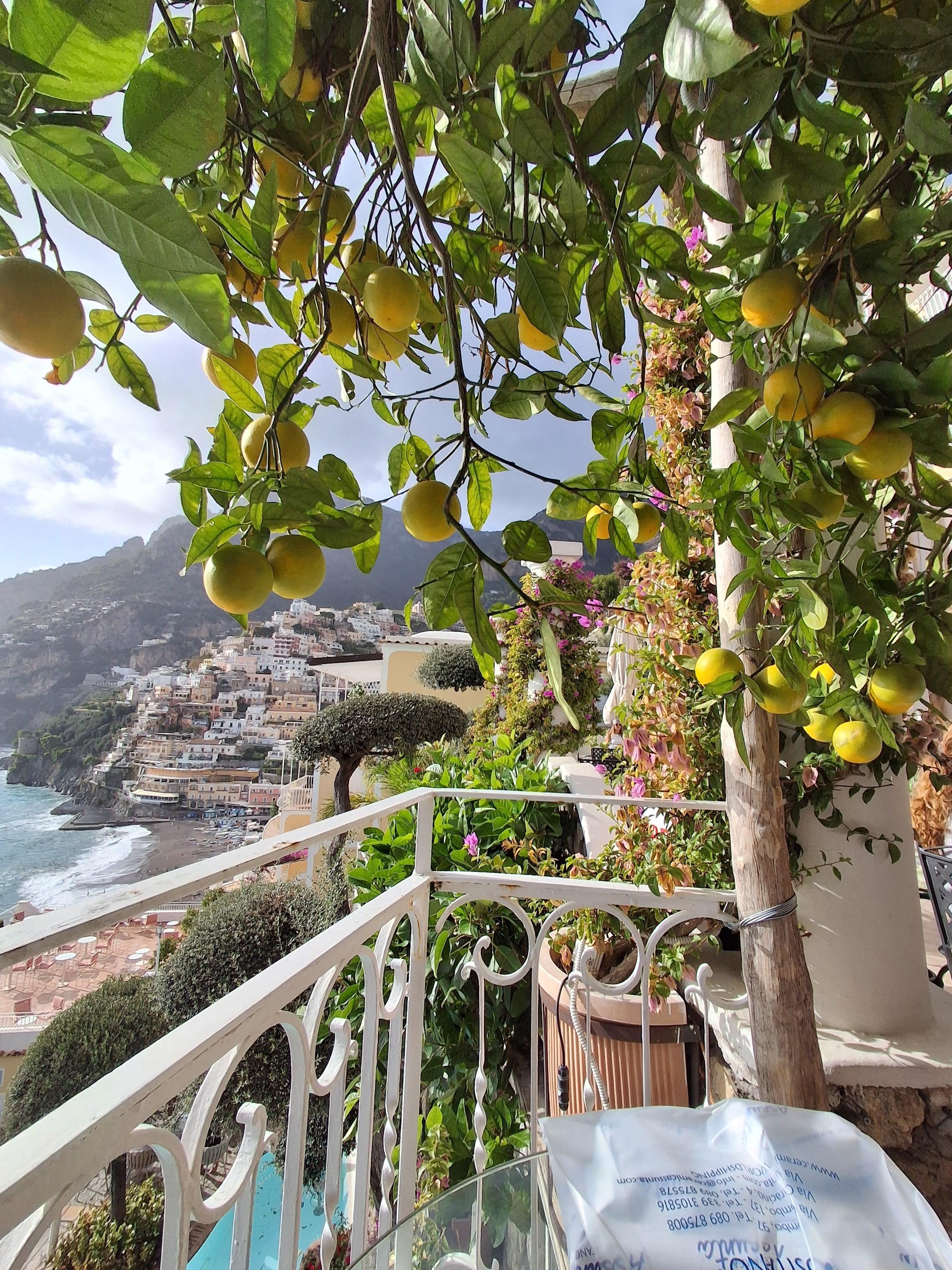 Hyggeligt hjørne af terasse med fantastisk udsigt