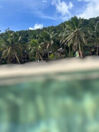 relaxing in the lovely lagoon looking back at the fales