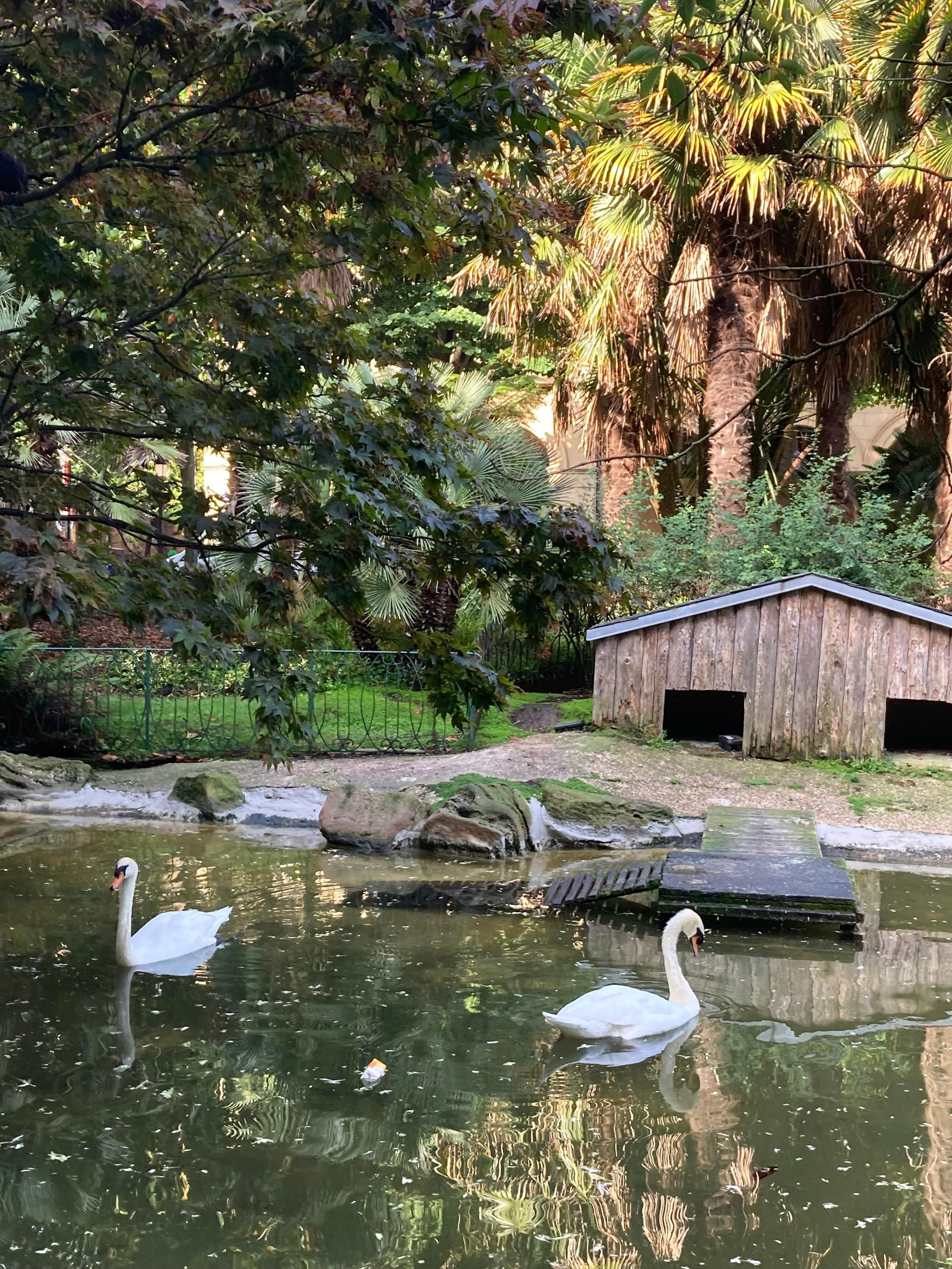ホテル前のギプスコア公園