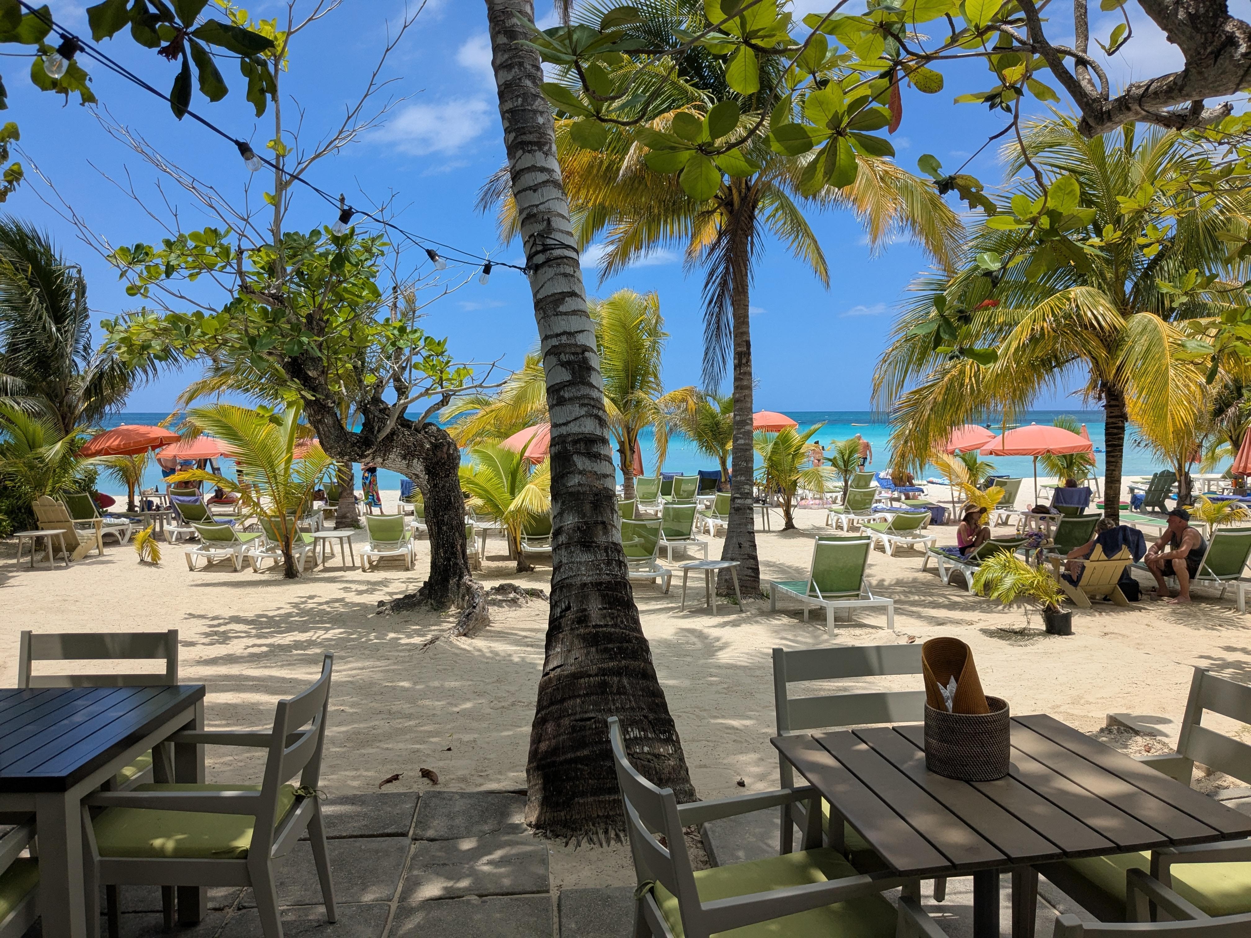 View of the shady area and beach 
