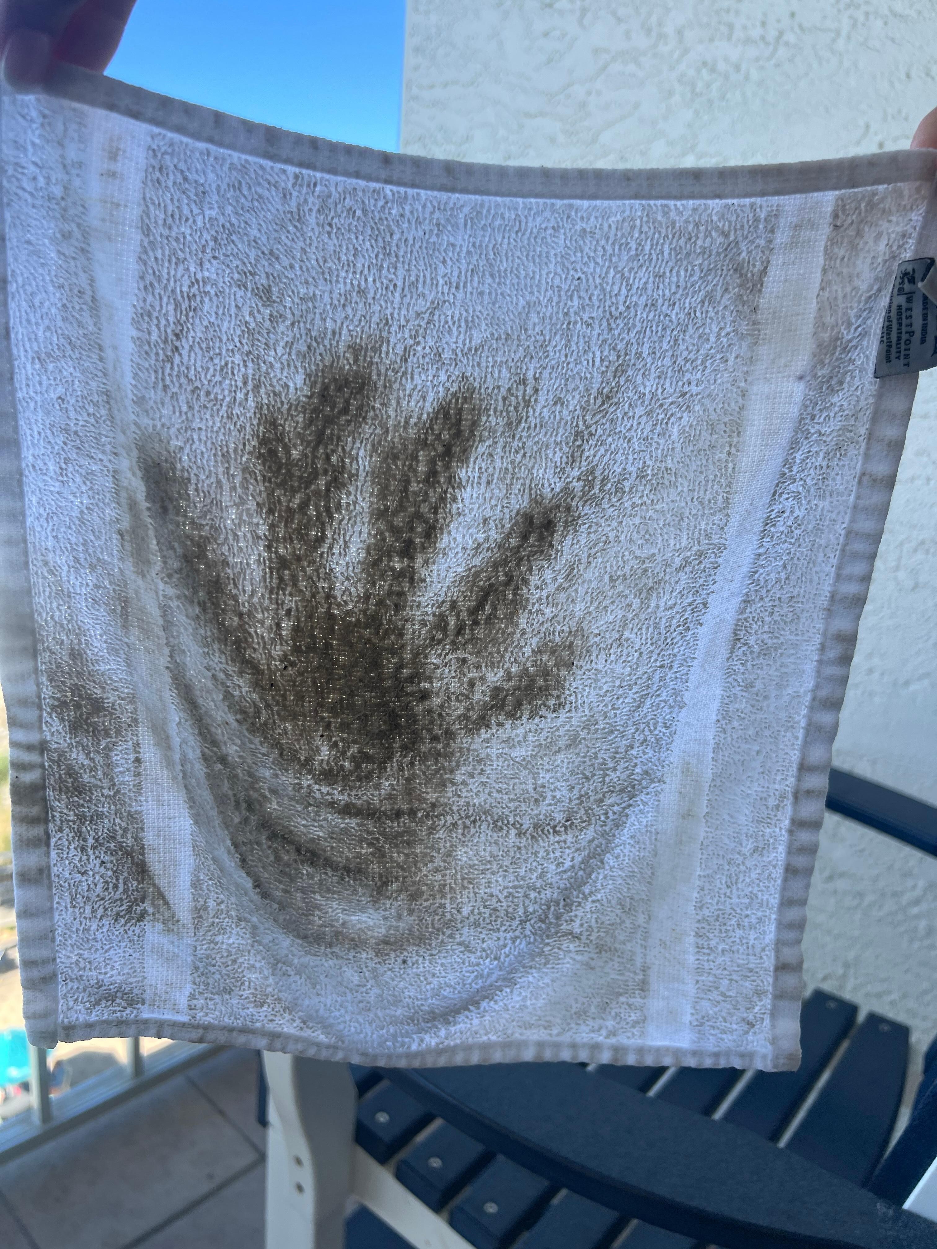 Washcloth from dirty floors 