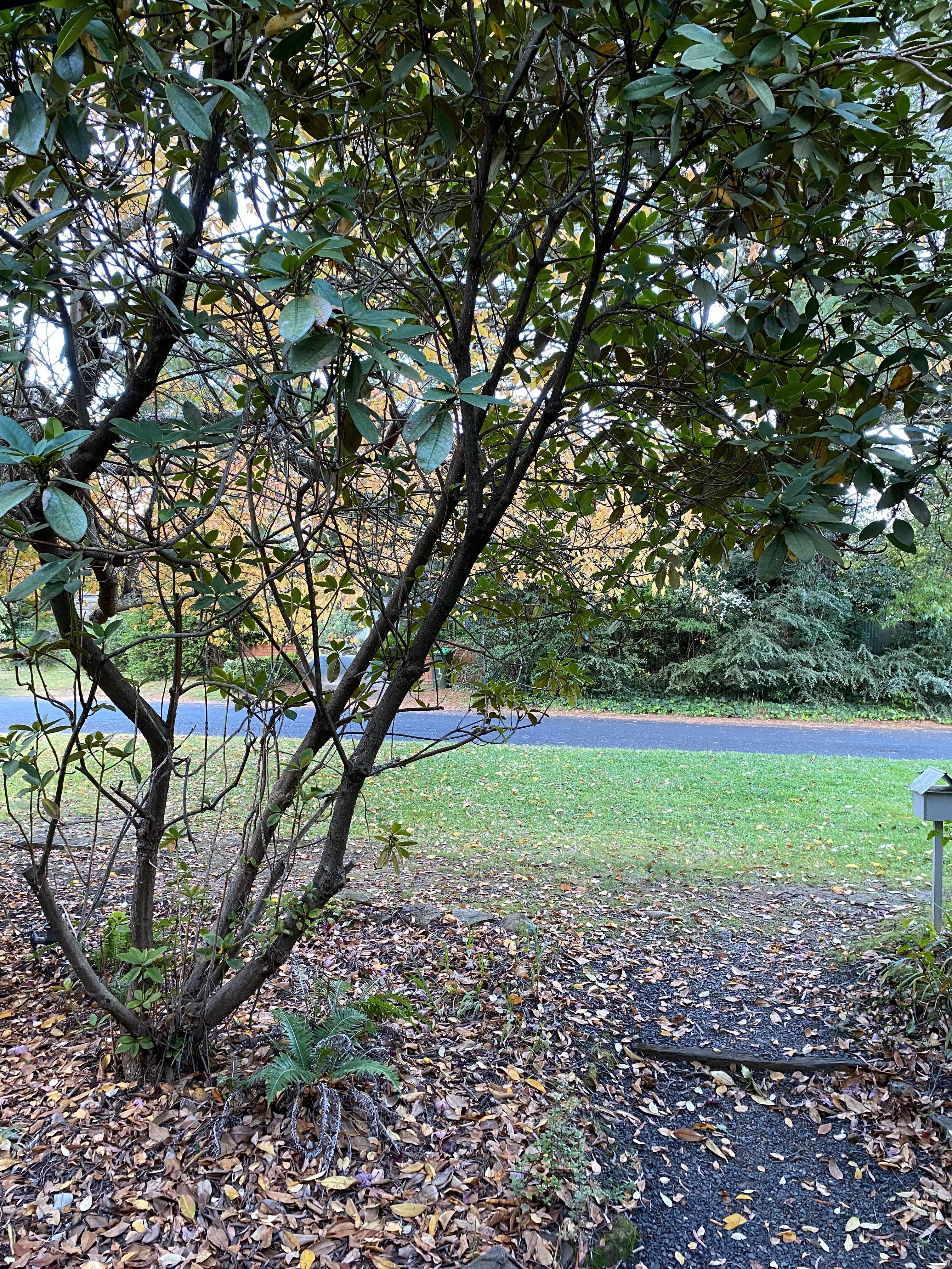 View from front door. 