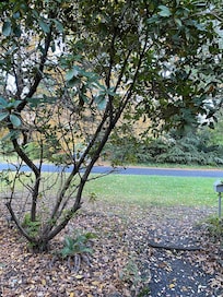 View from front door.