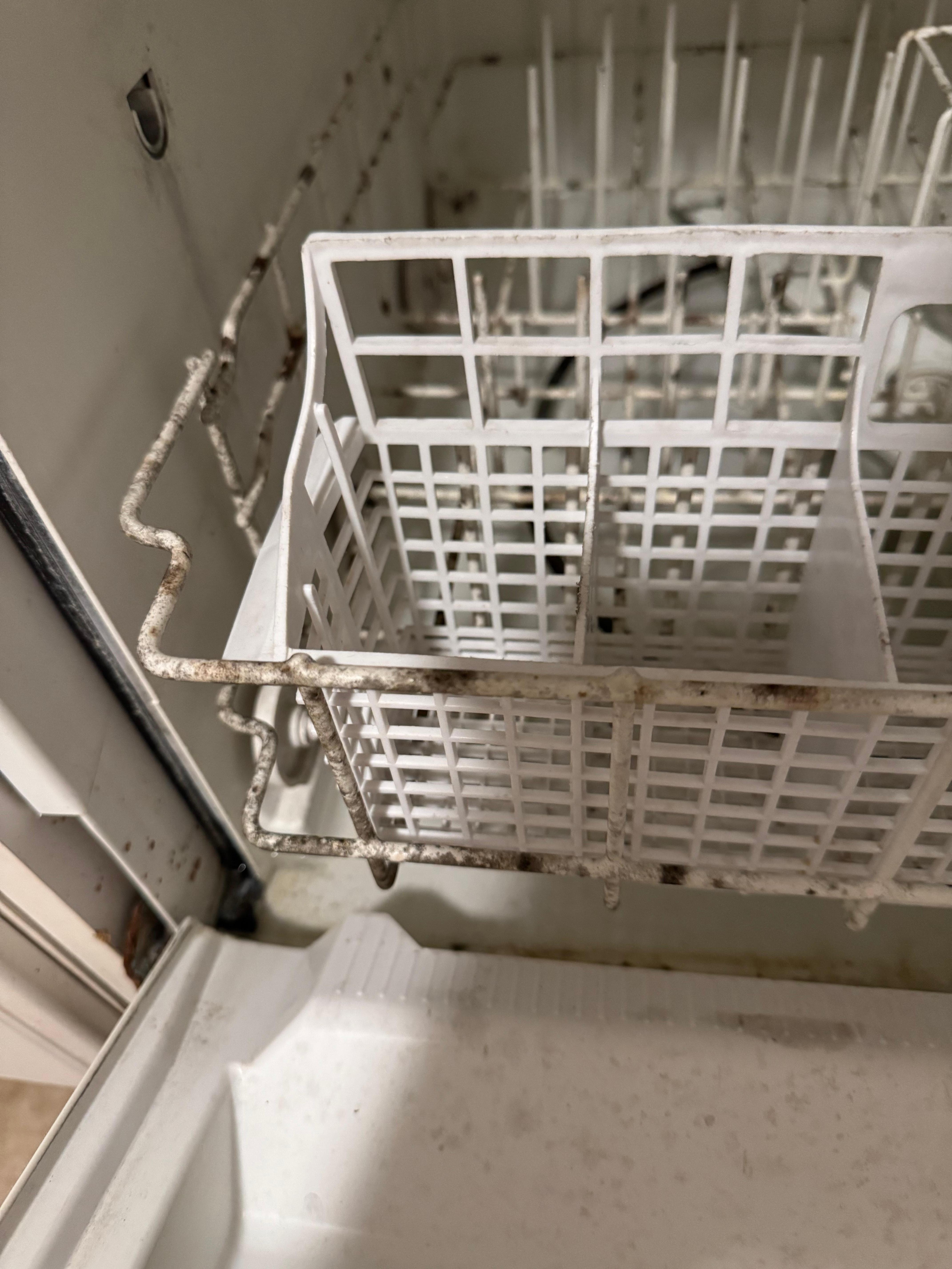 Unusable moldy dishwasher