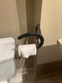 TP Holder? Not a western themed room, so why?