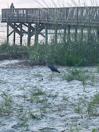 Our first morning, taken at the beach by the condo property!