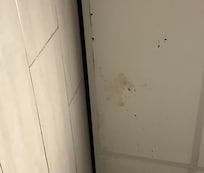 Mold on the bathroom wall and ceiling
