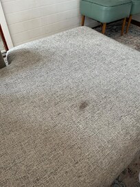 Poop stain on couch 🤮