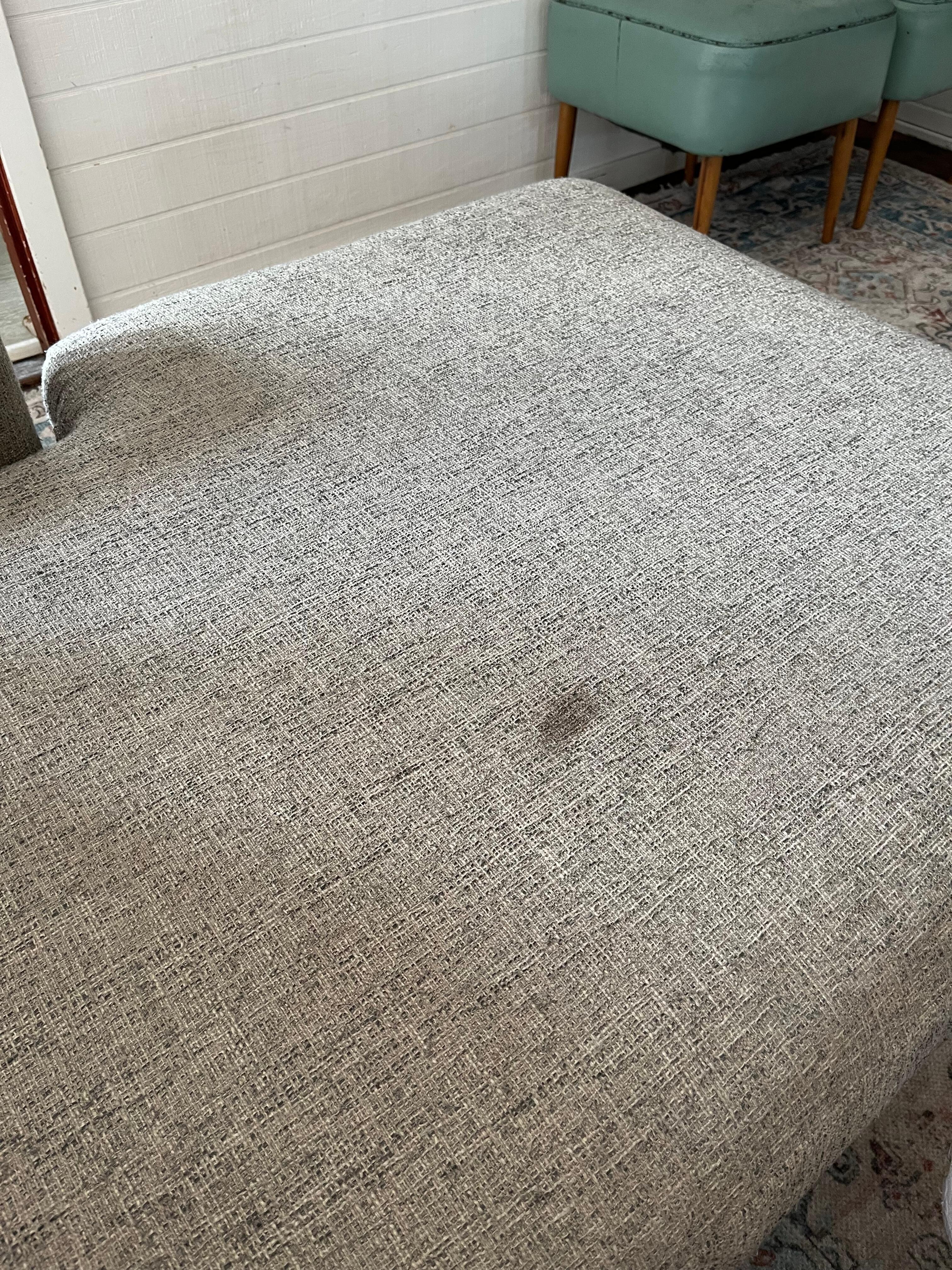 Poop stain on couch 🤮