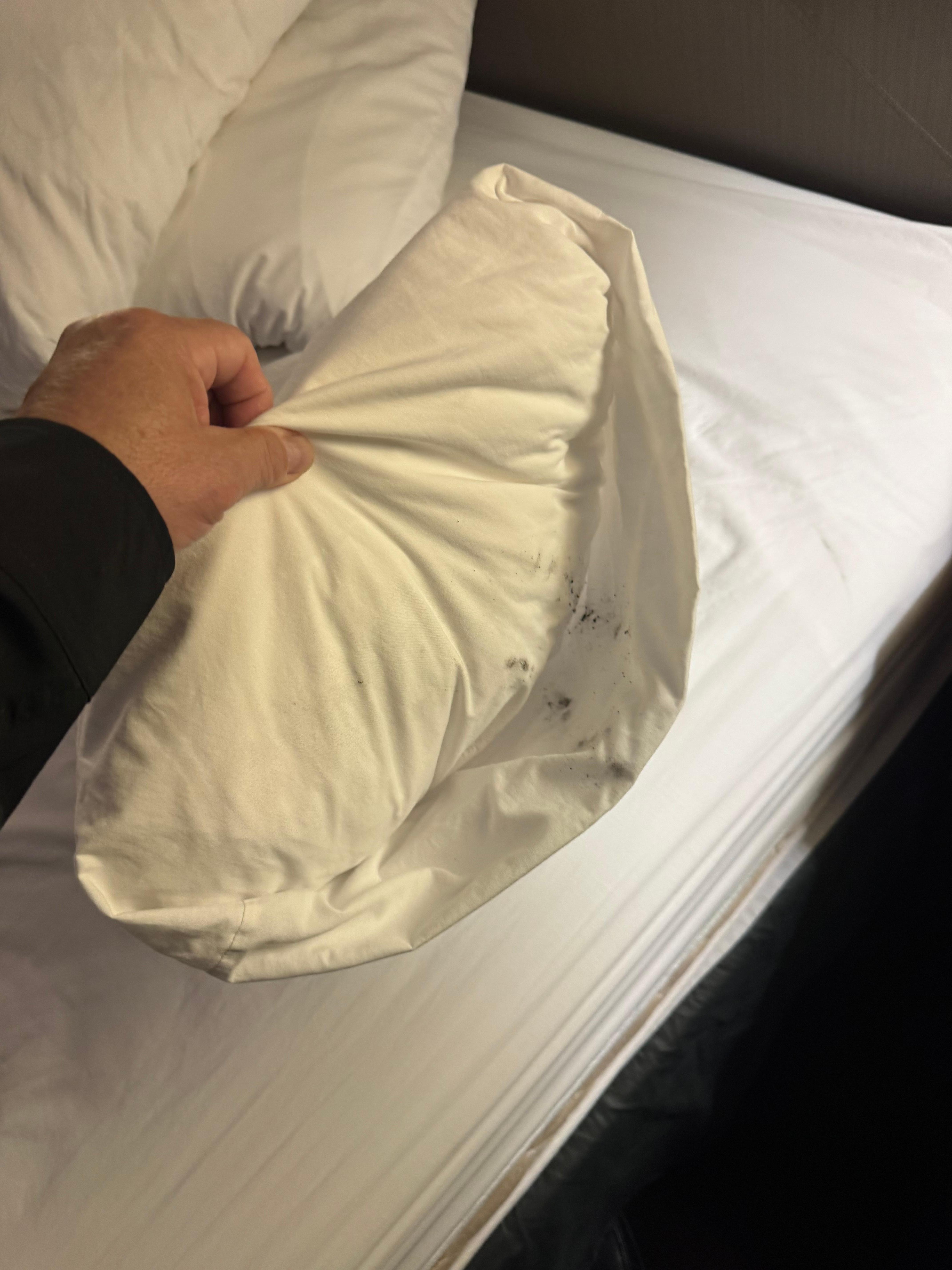 Mold on my pillow