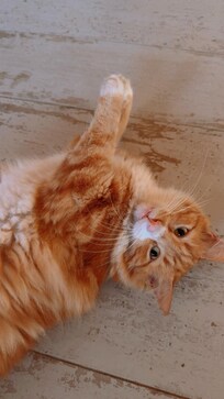 Friendly Eddie :)