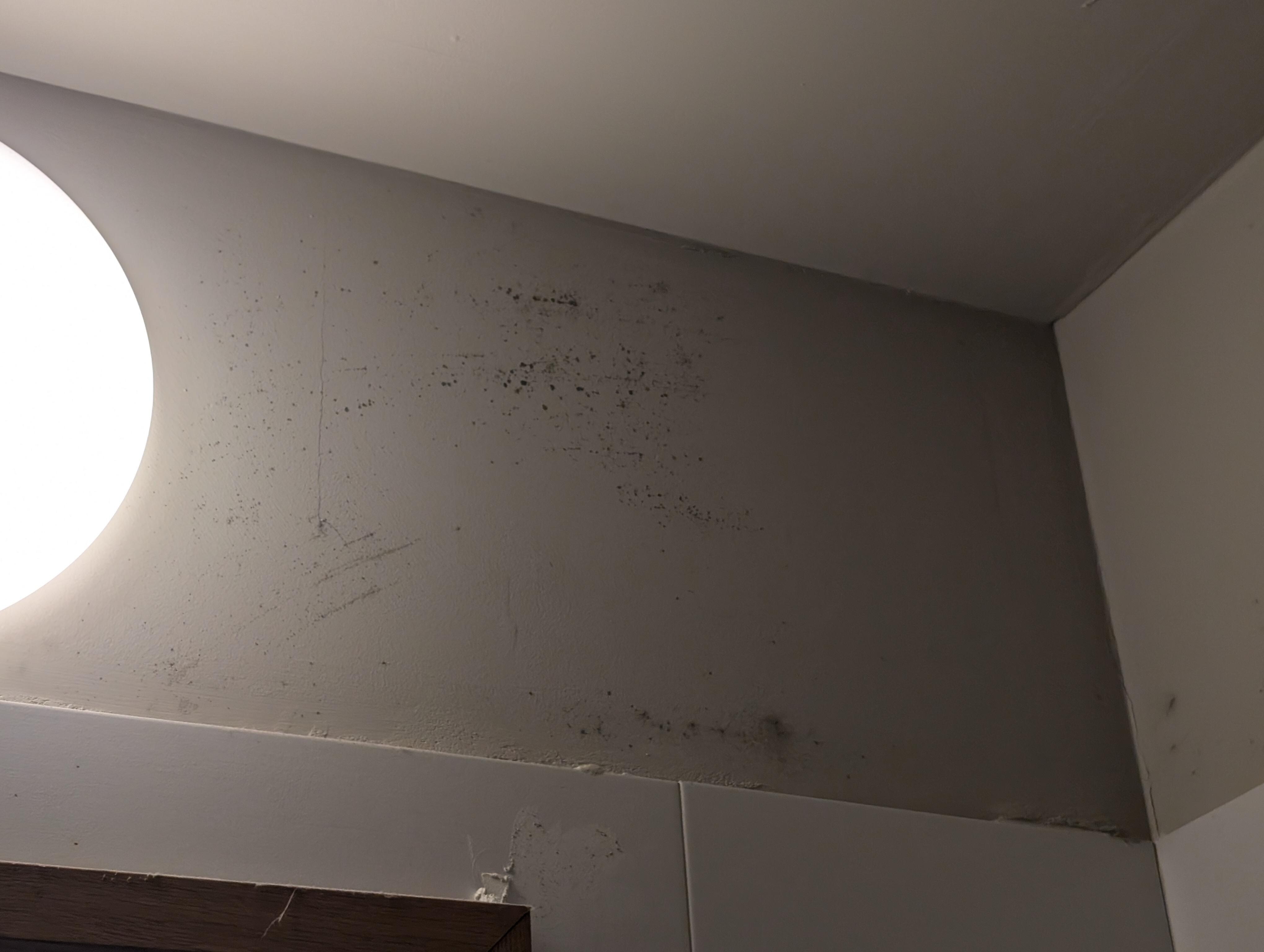 Mold in bathroom. You can see it is on two of the walls