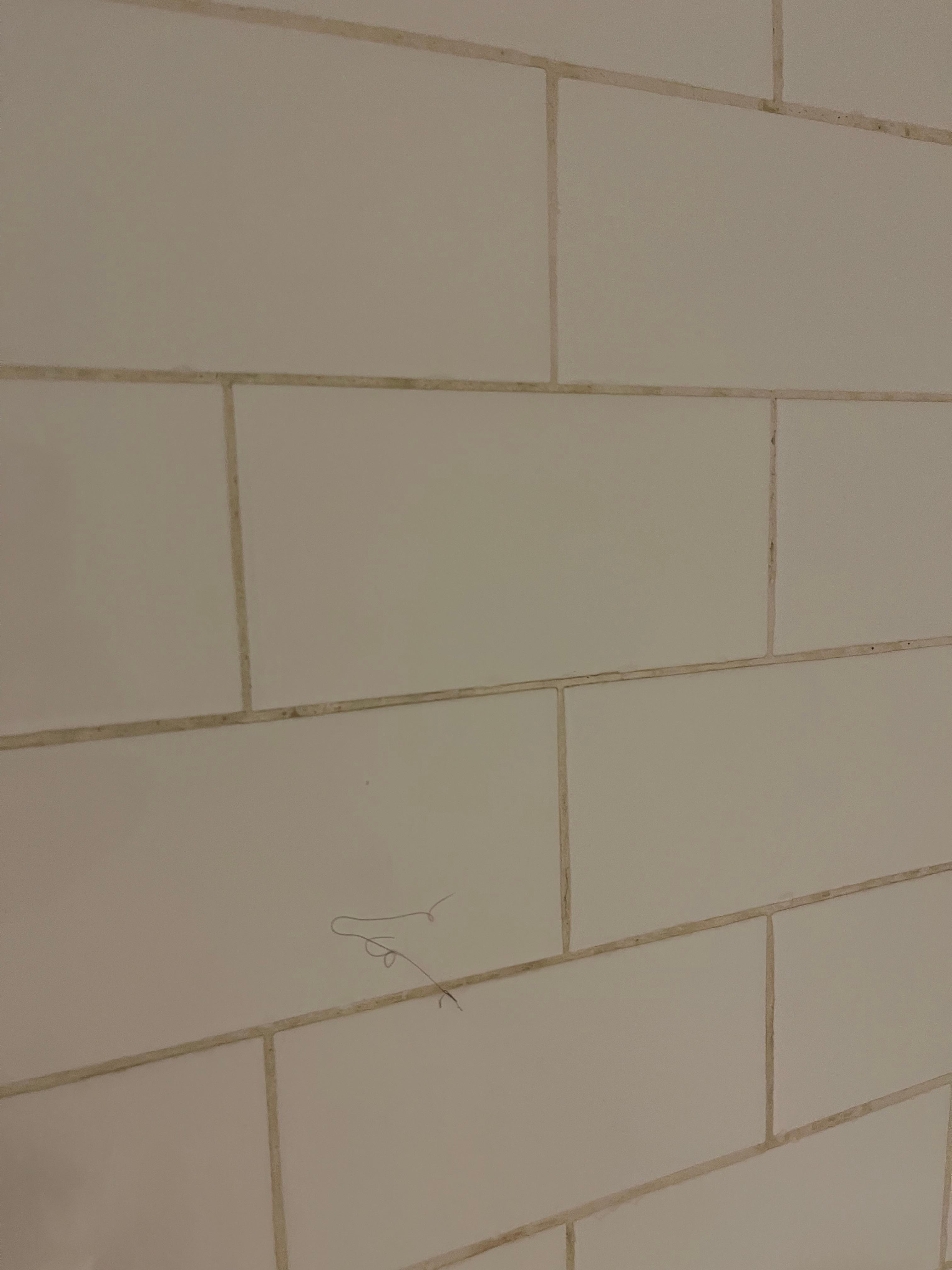 Hair on the wall, had not used the shower