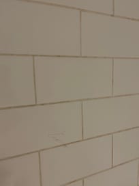 Hair on the wall, had not used the shower