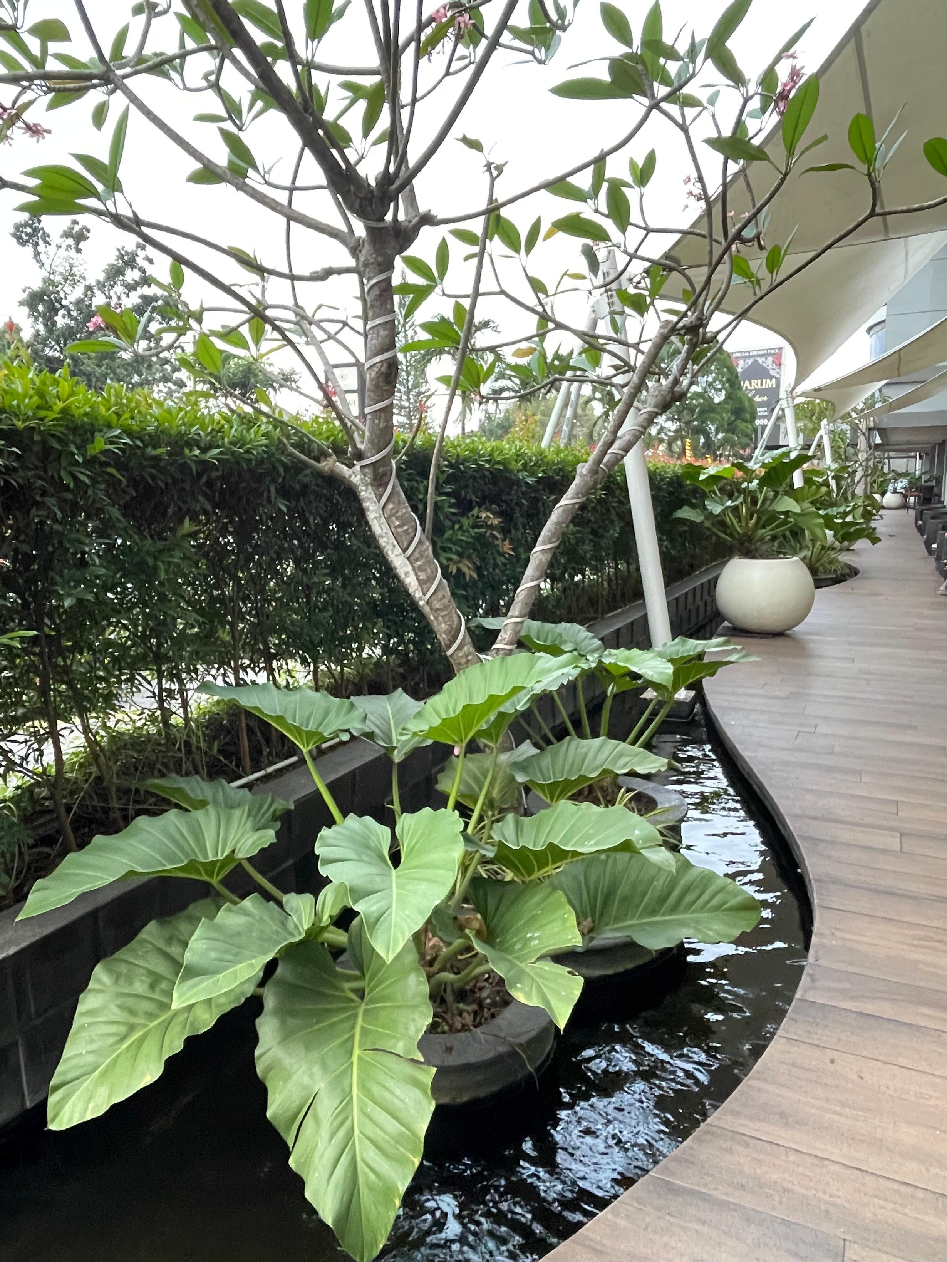 Beautiful outdoor area. 