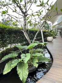 Beautiful outdoor area.