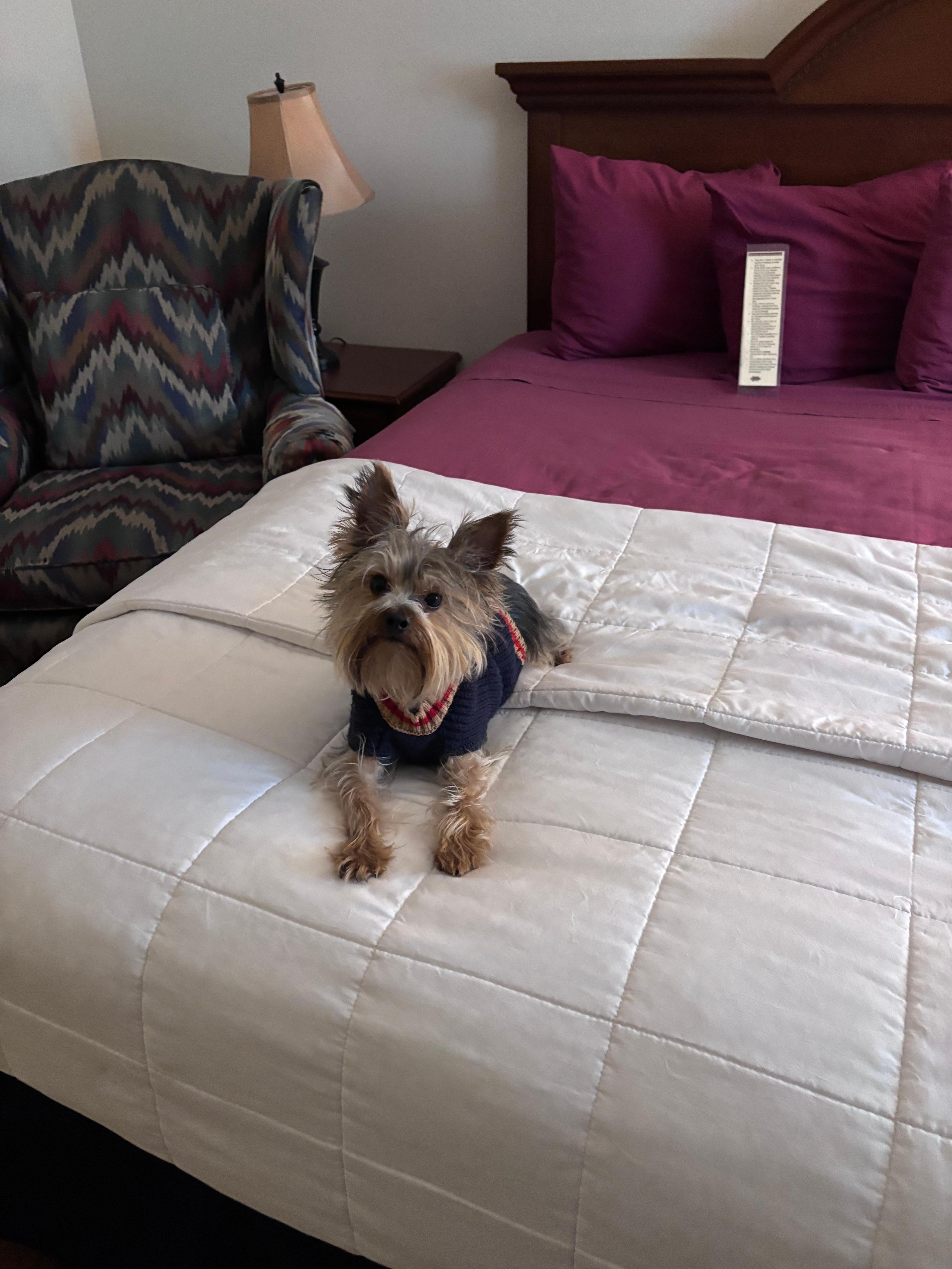 Vinny loved his stay!!