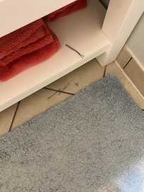 Bathroom was not clean. Appeared to have beard shavings on the floor as well as bobbie pins.