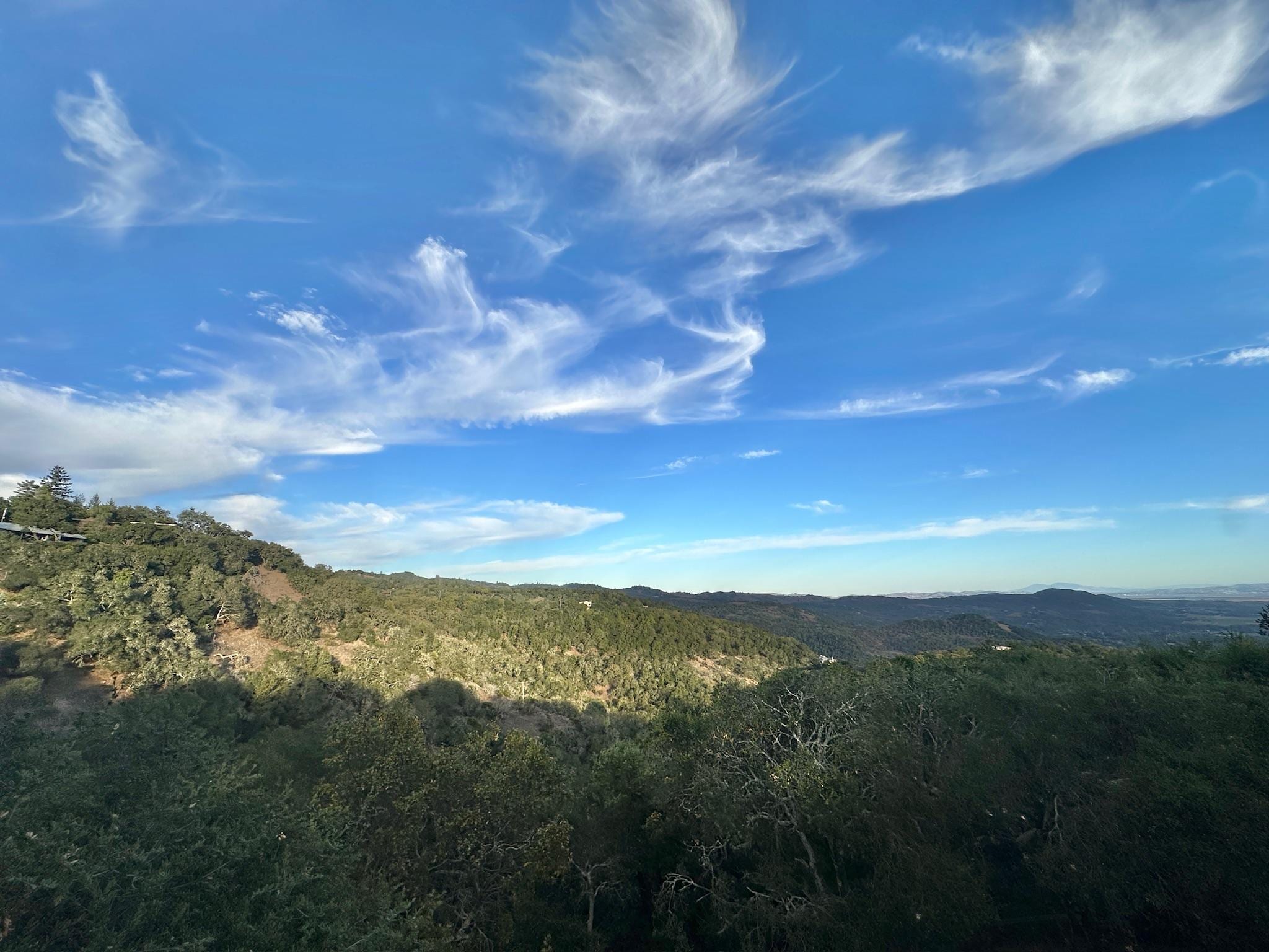 East view through back yard