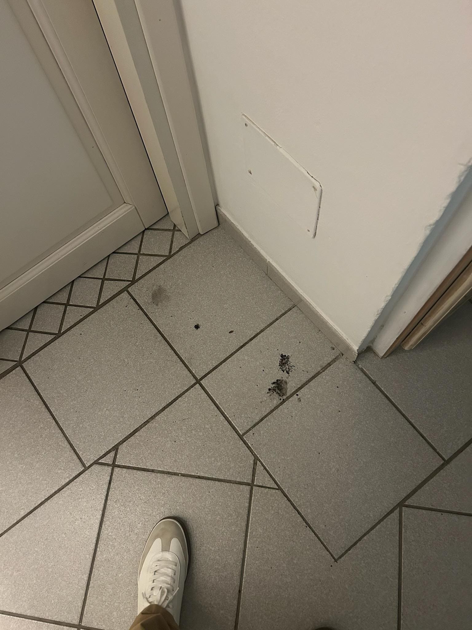 Mold that came out of A/C unit 